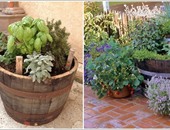 بالصور.. 10 أفكار متاحة لزراعة الأعشاب والورود فى منزلك