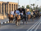 مدير آثار الأقصر: 2230 سائحا أجنبيا ومصريا زاروا معابد المدينة الأثرية أمس