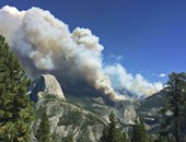 حرائق الغابات فى كاليفورنيا تهدد الأشجار القديمة