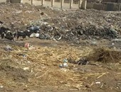صحافة المواطن.. إنشاء مقلب للقمامة أمام مدرسة ومعهد دينى بقطور بالغربية