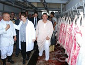 نائب محافظ الإسكندرية: حملات يومية للتأكد من سلامة اللحوم وثبات الأسعار