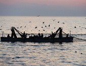 غرق مركب صيد مصرى على متنه 14 صيادا بنطاق المياه السودانية