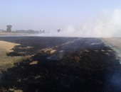 البيئة تعقد ندوات للتوعية في هيها والعزازية بالشرقية استعدادا لموسم قش الأرز