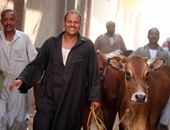 الزراعة تشدد الرقابة على أسواق الماشية لمنع دخول حيوانات مهربة من ليبيا 