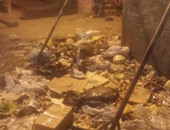 صحافة المواطن.. انتشار الأمراض نتيجة تراكم القمامة بقرية بهجورة فى قنا