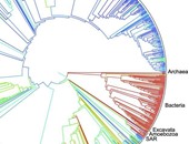 علماء يطلقون أول خريطة للكائنات الحية تضم 2.3 مليون فصيلة مختلفة