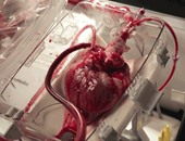 علماء أمريكيون يتوصلون إلى جهاز ينعش القلب من جديد بعد وفاة صاحبه