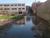 صحافة المواطن..انتشار مياه الصرف فى مدخل قرية "الجدية" بالبحيرة وأمام مدارسها