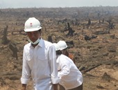 الرئيس الإندونيسى يزور الغابات بعد نجاح الحماية المدنية فى إخماد الحرائق