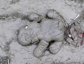 الطفل السورى مات ولعبته غرقت فى الوحل
