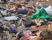صحافة المواطن.. استغاثة من انتشار القمامة بقرية ميت فارس بالدقهلية