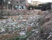 بالصور ..انتشار القمامة والحيوانات النافقة بقرية "الجرايدة" بكفر الشيخ