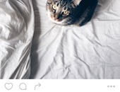 Instagram Direct يدعم الآن مشاركة الصور الخاصة والسيلفى والرسوم التعبيرية