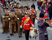 بالصور.. مراسم ترقية خروف بالجيش البريطانى من عريف لرتبة رقيب