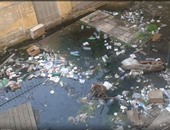 بالصور.. نفايات خطرة وقمامة وصرف صحى داخل مستشفى حميات بورسعيد