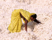 تجريد امرأة هندية من ملابسها والطواف بها عارية على ظهر حمار