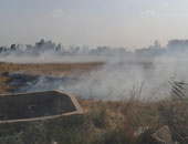 تحرير 114 محضرا لحرق قش الأرز بمراكز محافظة دمياط
