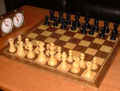 بطل العالم فى الشطرنج يلعب معصوب العينين لصالح شهداء الثورة