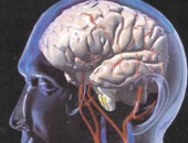 تعرف على استخدمات فحص رسم المخ فى تشخيص الأمراض
