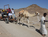 تنمية الصعيد وسيناء.. وعود لا تنفذ
