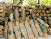 ضبط 3 كيلو بانجو بحوزة عاطل ببنى سويف