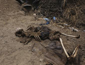 العثور على مئات الجثث فى مقابر جماعية بالمكسيك منذ عام 2007