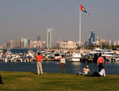 القرقاوى: العمالة المصرية بالإمارات جزء من نسيج المجتمع