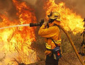 السيطرة على 75 % من الحرائق فى إحدى غابات ولاية نيو جيرسى الأمريكية
