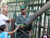 بالصور.. فسحة العيد مبقتش رحلة للقناطر أو حديقة الحيوان.. دلوقتى ممكن تقضيها فى مول أو تسافر الساحل تحضر حفلة وتعمل "دايفنج" كمان