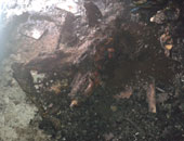 العثور على جثة متفحمة ومربوطة بعد إخماد حريق بسوهاج