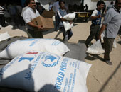 الخبيزة.. غذاء أهالى غزة.