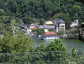 سيرلانكا ترحل 161 من الأجانب لنشرهم الإسلام داخل البلاد