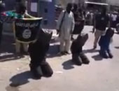 "ديلى ميل":مقاتلى "داعش" يجوبون شوارع مدينة عين العرب السورية