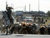 البرازيل تعلق صادرات لحوم الابقار إلى الصين بعد ظهور حالة إصابة جنون البقر