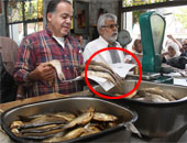 صناعة الفسيخ "فن" فى الإسماعيلية