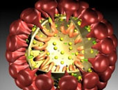 مسؤول أمريكى يؤكد ظهور أول إصابة بفيروس كورونا الصينى فى بلاده