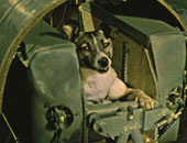 نصب تذكارى لرائدة الفضاء الكلبة "لايكا"