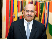 الخلط بين النظام والدولة فى مصر خطأ سياسى شهير