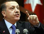 موقع تركى:أردوغان لا يرحب بانتخابات مبكرة وغير راض عن أداء اوغلو