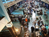 تجار أسماك: السياحة وأعياد الأقباط وراء ارتفاع الأسعار بالأسواق