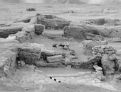 علماء صينيون يعثرون على قبو لحفظ الفاكهة 