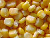 محلل: تراجع أرباح "الوطنية لمنتجات الذرة" بسبب توقف مصنعها للصيانة