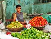 أسعار الخضراوات اليوم الثلاثاء فى أسواق فيصل