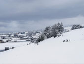 انقطاع الكهرباء عن 4 آلاف أسرة وانهيار الأشجار بسبب الثلوج جنوب النمسا