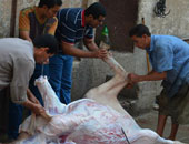 تحرير 10 محاضر لجزارين يذبحون خارج السلخانة قبل العيد فى المنيا