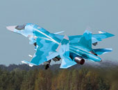 واشنطن تندد باعتراض طائرة روسية مقاتلة أمريكية وتصفه بـ"الخطر"