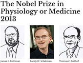 أمريكيان وألمانى يفوزون بجائزة نوبل فى الطب لعام 2013