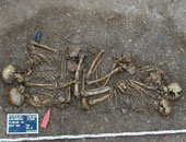 اكتشاف حفرية أثرية بالصين لحيوان رباعى الأرجل يعود لما قبل 409 ملايين سنة