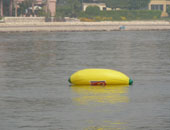  2000 بالونة موز تسبح فى النيل لأطفال السرطان