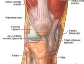 أحدث وأغرب علاجات خشونة الركبة.. الخلايا الجذعية والديدان الطفيلية